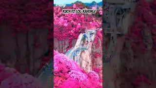 Amazing Nature Video | Kun Anta | Mohamed Tarek &  Mohamed youssef