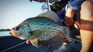 Fishing for Fall Time Crappie (Vertical Jigging)