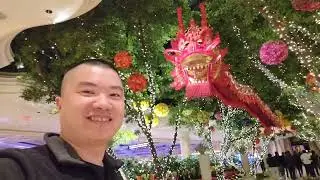 Wynn Las Vegas Chinese New Year Decoration