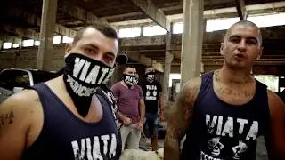 TARZY - VIATA PERICULOASA 4 ( OFICIAL VIDEO )