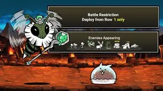 The Battle Cats - The Oldest Queen! I'll Big Bug / Be Bee Queen!! (13.6 Update)