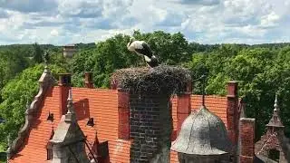 Латвия. Цесвайне. Цесвайнский замок.Цесвайне Cesvaines pilsēta, Латвия.