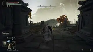 Elden Ring Divine Bridge Bug