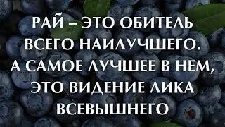 Хусейн Джамбетов видеообращение мысли исламу
