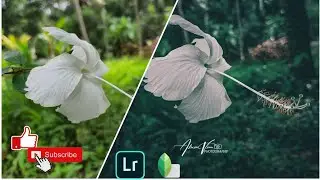 Lightroom Photo Editing Tutorial | Beautiful Flowers| like &subscribe ❣️❣️