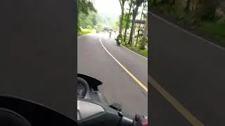 jos di hutan gemitir