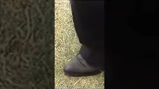Kaşık Havası Nasıl Oynanır ? 