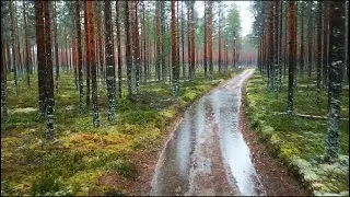 RandomClips from RandomRoads