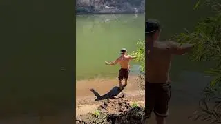 Swimming In A Crocodile Infested River!
