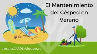 El Mantenimiento del Césped en Verano