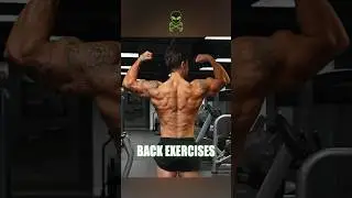 17 Back Exercises for Gains 💪🏻👽