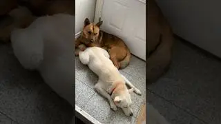 They’re so cute together 