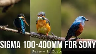 Sigma100400mm Sony E Mount Review and Photo's in 2023