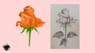 Flower From Sketch to Vector Shading in Inkscape