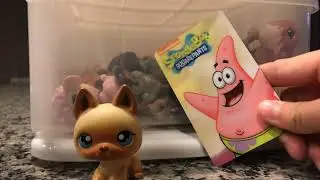 New German shepherd lps 🥰 ( update schedule video )