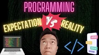 PROGRAMMER EXPECTATION vs REALITY (2023)