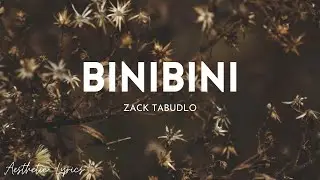 Zack Tabudlo - Binibini (Lyrics) | Aesthetic Lyrics🎵
