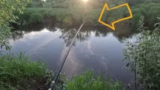 УДОЧКА В ДУГУ! Рыбалка в диких зарослях! В ЭТОЙ РЕЧКЕ ЕСТЬ РЫБА!!!