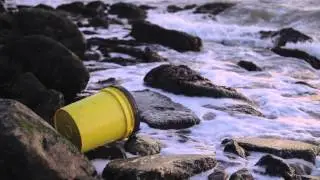What is the North Atlantic Gyre?