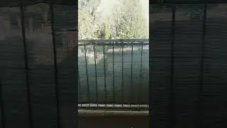 forgot again but it's fine to lazy to open Dem door