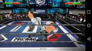 Wern vs Wizard
