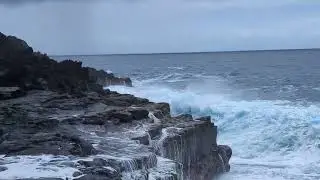 Mackenzie State recreation area Big Island Hawaii