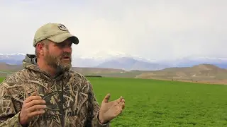 Unruh Farm/Desert Mountain Grass-Fed Beef