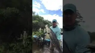 FISHING VIDEO 🔴 luyafishing TikTok fisherman fishing lovers fishing master fishing man R R