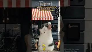 Когда твоя Мама жадная😂 