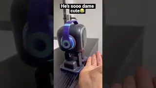 When AI trusts its owner too much😂 