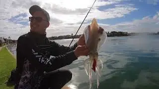 We Did NOT Believe What We Saw!!! RARE FISHING ENCOUNTER
