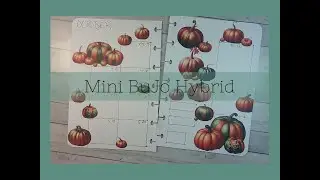 Plan with Me / Bullet Journal / Mini HP Hybrid