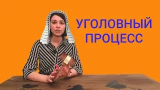 Уголовный процесс. Уголовное судопроизводство