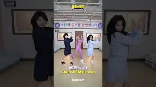 수련회 와서 챌린지 찍는 모카&이로하&원희 ☕️🐢🐶 | 돌들의침묵 | 아일릿(ILLIT) 'Cherish (My Love)'