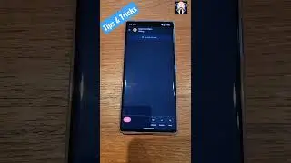 Google Pixel 6 Pro Special Hidden Feature In Google Dialer 