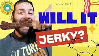 Will It Jerky? Pork Tenderloin Jerky – Affordable, Tender, and Flavorful Snack!