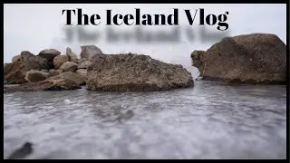 We Went to Iceland for a Week | Travel Vlog