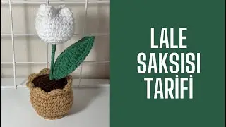 ÖRGÜ LALE SAKSISI TARİFİ/ CROCHET TULIP POT/ AMİGURUMİ LALE