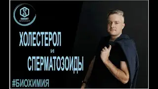 Биохимия: Холестерол и сперматозоиды