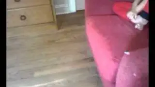 My dog teddy wants 2 get out