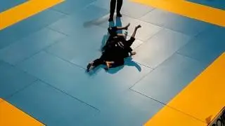 Gimnasium cup VIII