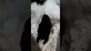 7 ноября 2022 г.