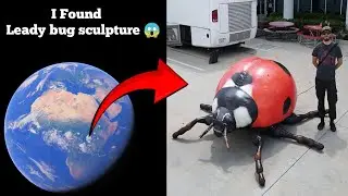 I Found Leady bug sculpture 😱🤯 On Google Map And Google Earth🌎 #earth #map #googleearth #viralvideo