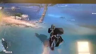 Assassin Creed Black Flag Stoopid Funny Glitch