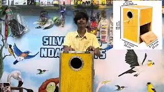 Sun conure breeding box
