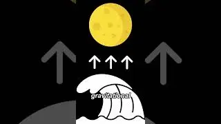 The Full Moon Effect