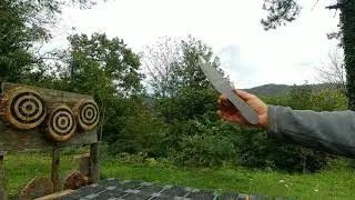 Knife throwing. No-spin and 1 spin with the same knife.