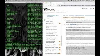 Removing VLANs from a physical port Ruckus ICX Switch