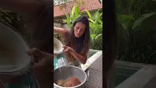 How to sprout a coconut at home 