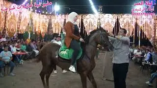 الدكتوره عفاف البربري بترقص الخيل مع الهرم علاء سمير من مليونية أولاد شوشه والرفاعي فى أبو دشيشه